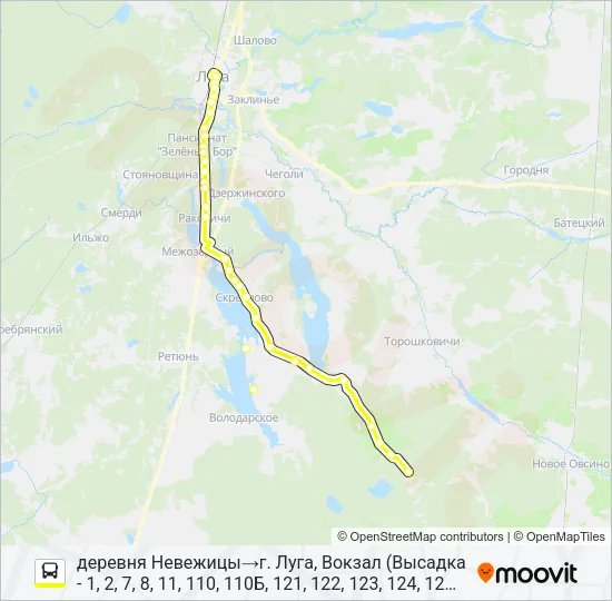 * 132 (ЛУЖСКИЙ РАЙОН) Bus Line Map