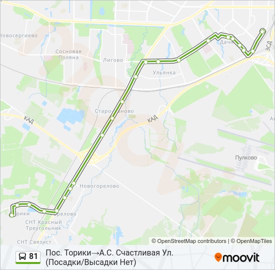 81 Bus Line Map