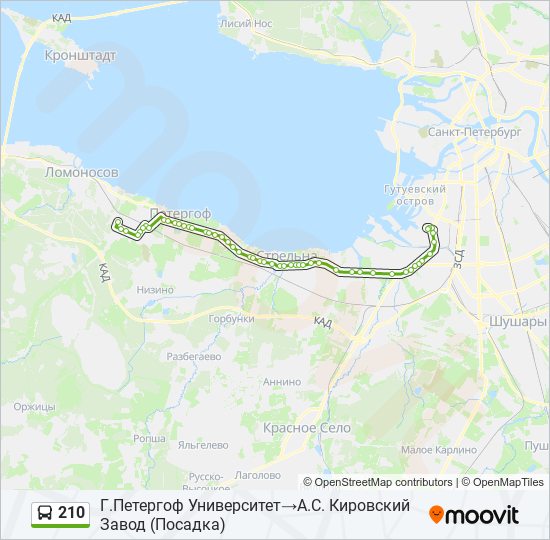 Схема маршрут 210 автобус. 210 Автобус Бердск. Петергофская дорога схема.