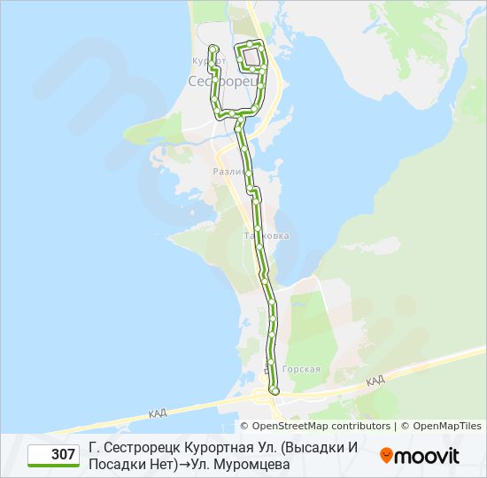 Автобус 307: карта маршрута