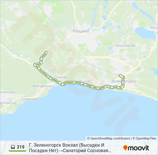 Автобус 319: карта маршрута