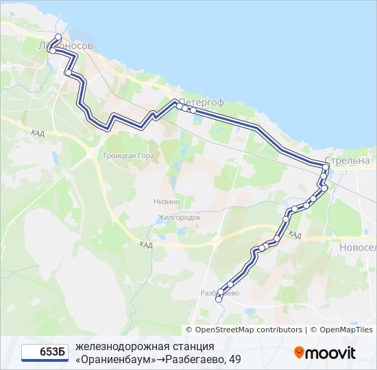 Карта автобусов ломоносов. Разбегаево маршрутка. Расписание автобуса 653а Разбегаево-Ломоносов. Автобус 653б фото смотреть петергофигорбунки.