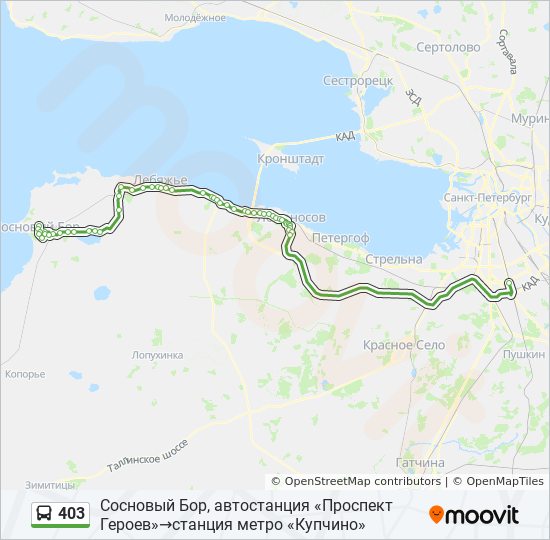 Расписание автобусов санкт петербург сосновый бор 401