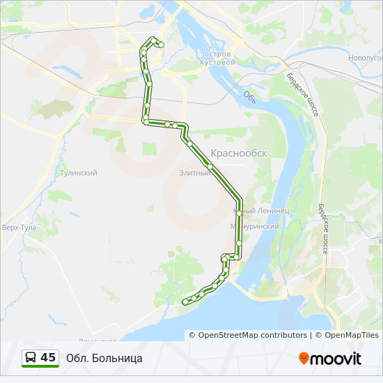 45 маршрутка карта. 45 Автобус маршрут. 45 Маршрут Новосибирск. Чемской Бор на карте. Автобус 45 маршрут на карте.