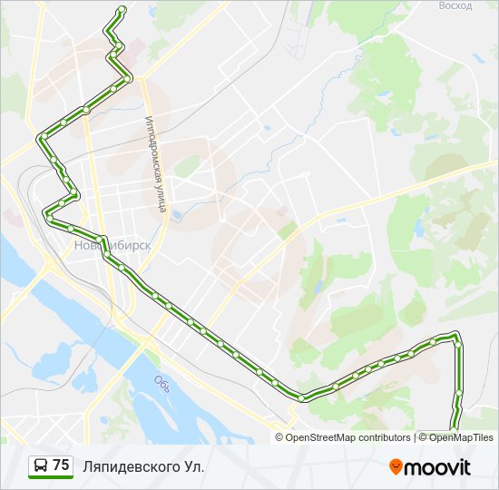 Автобус 75: карта маршрута
