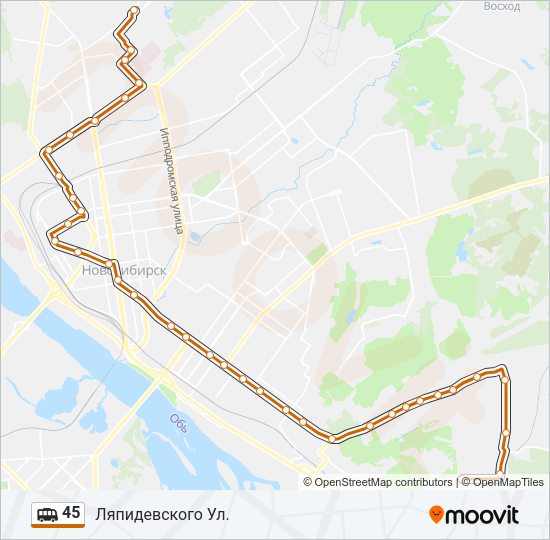 Маршрутка 45: карта маршрута