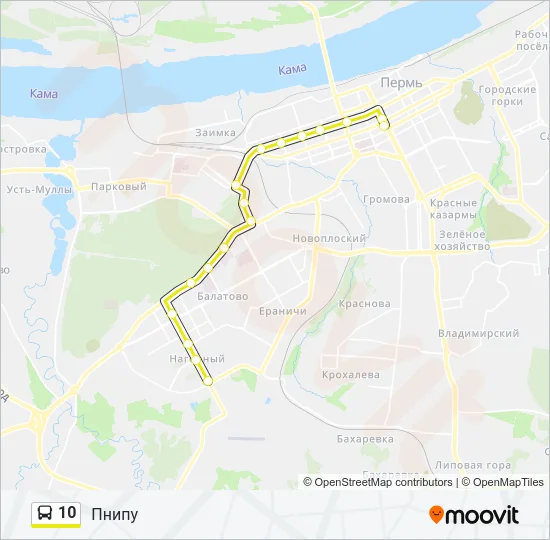 10 Bus Line Map