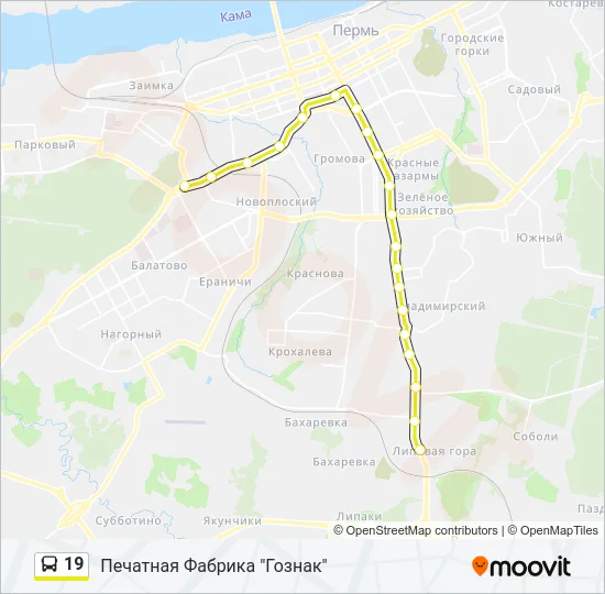 19 Bus Line Map