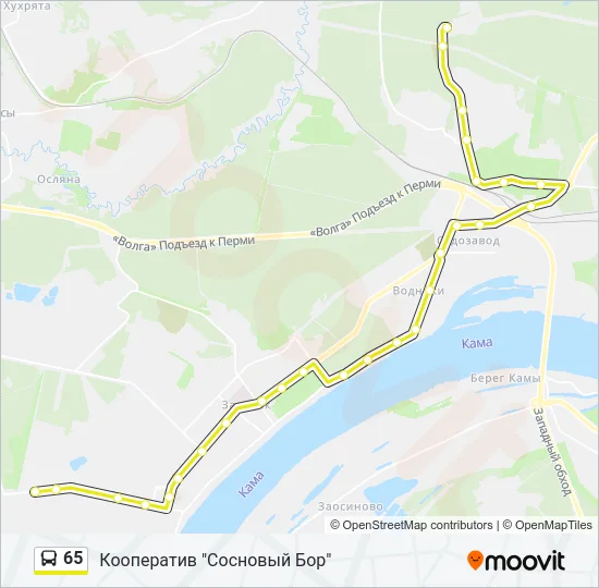 65 Bus Line Map