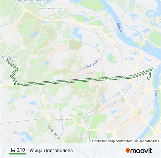 Расписание 210. Маршрут 210 автобуса СПБ. Берёзовая Пойма Нижний Новгород на карте. Ул Долгополова остановка. Маршрут 210 автобуса Митино.