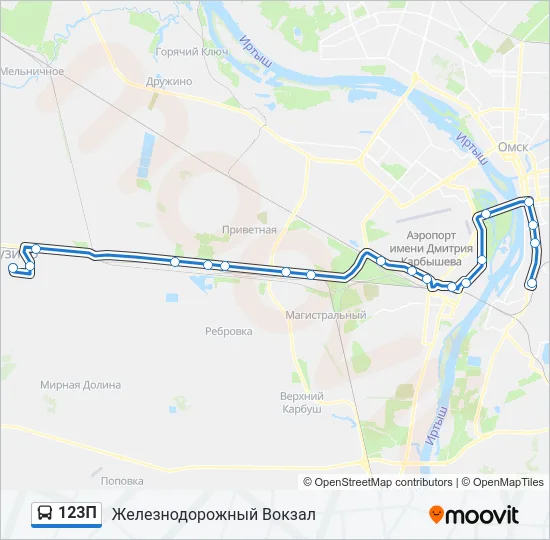 123П Bus Line Map