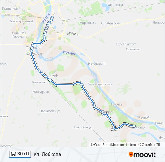 Автобус 307П: карта маршрута