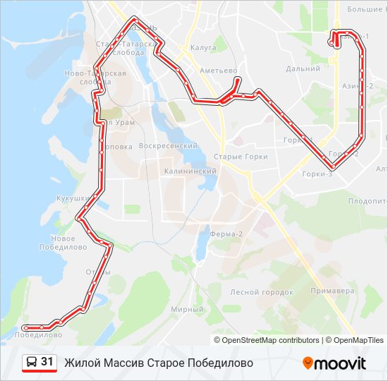 31 Bus Line Map