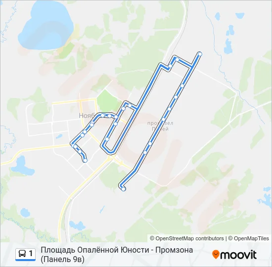 Автобус 1: карта маршрута