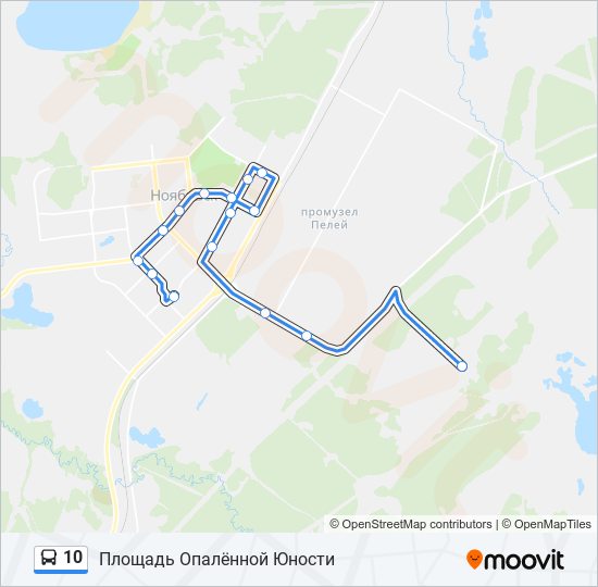 10 Bus Line Map