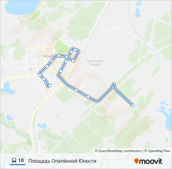 10 Bus Line Map