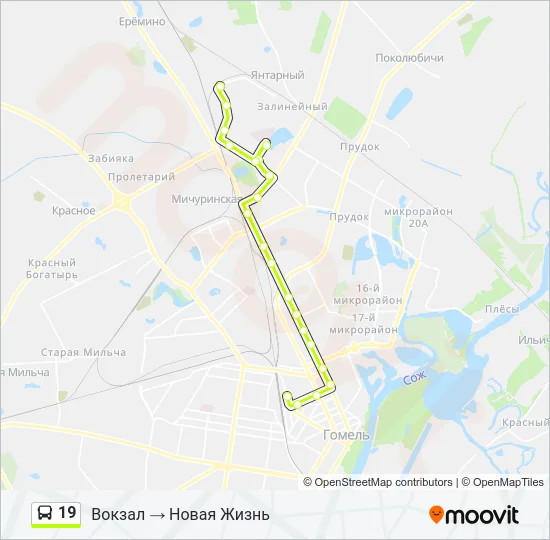 19 Bus Line Map