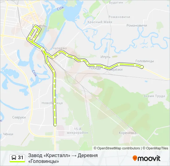 31 Bus Line Map