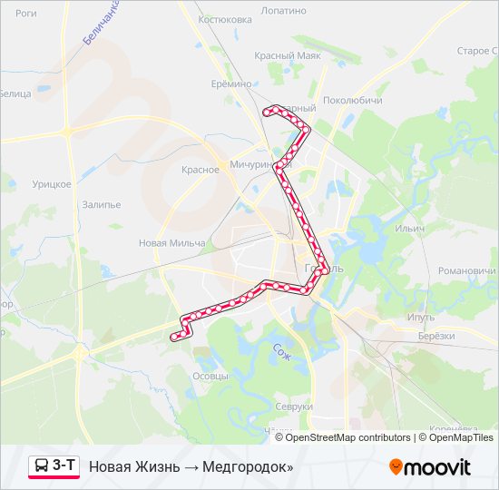 Карта движения автобусов гомель