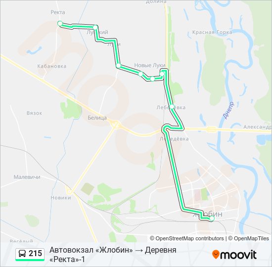 215 автобус расписание. Маршрут 215 автобуса. Маршрут 215 автобуса Москва. Трасса а-215 на карте. Расписание 215 маршрута.