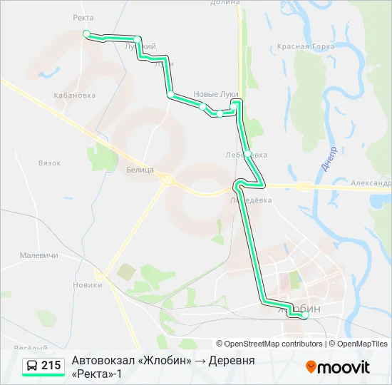 Автобус 215: карта маршрута