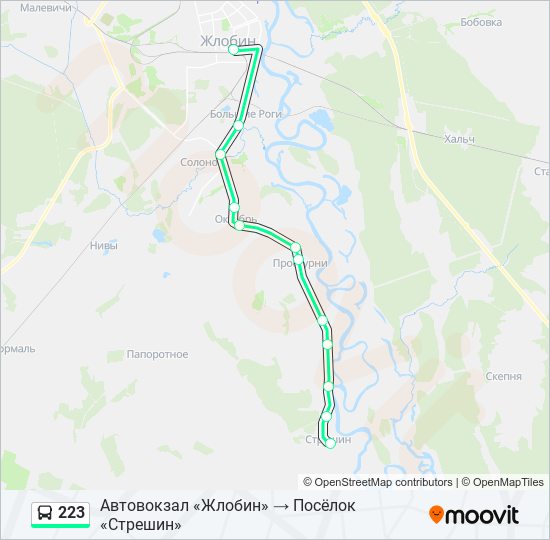 Автовокзал жлобин расписание автобусов. Автобус 223 маршрут на карте. Маршрут 223 схема. Расписание 223 маршрута. Маршрут 223 маршрутки.
