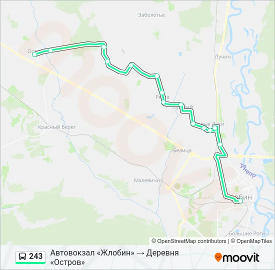 Автобус 243: карта маршрута