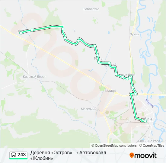 Автобус 243: карта маршрута