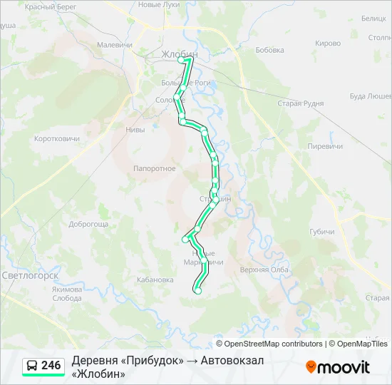 Автобус 246: карта маршрута
