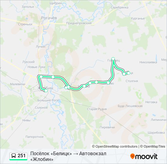 Остановки автобуса 251. Маршрут 251 расписание. Маршрут 251 маршрутки. Автобус 251 маршрут остановки. Автобус 251 маршрут остановки и расписание.