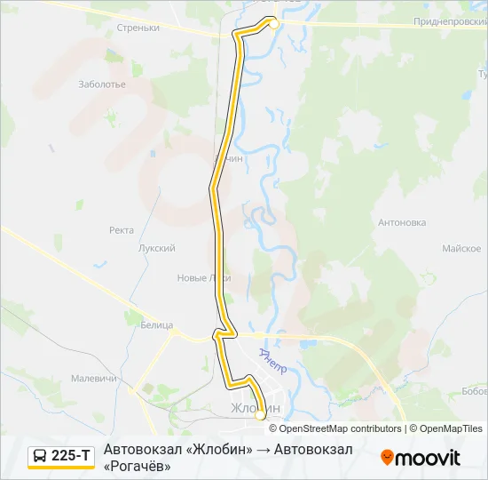 Автобус 225-Т: карта маршрута