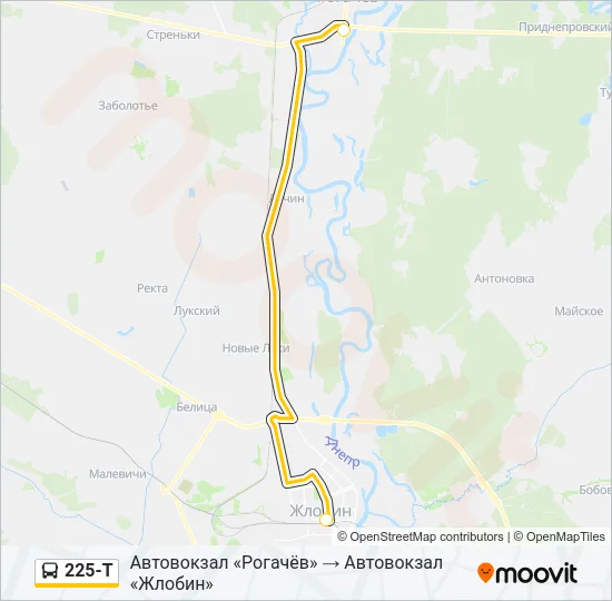 Автобус 225-Т: карта маршрута
