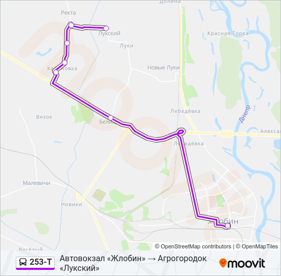 Автобус 253-Т: карта маршрута