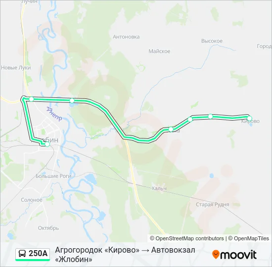250А Bus Line Map