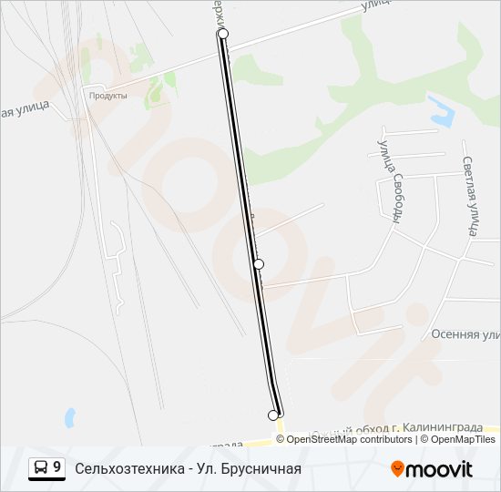 Автобус 9: карта маршрута