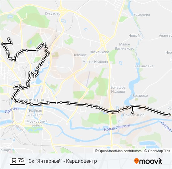 Карта автобусов калининград