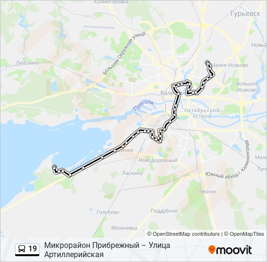 Маршрут 19 автобуса. Маршрут автобуса 19. 19 Автобус Калининград. Маршрут 019.