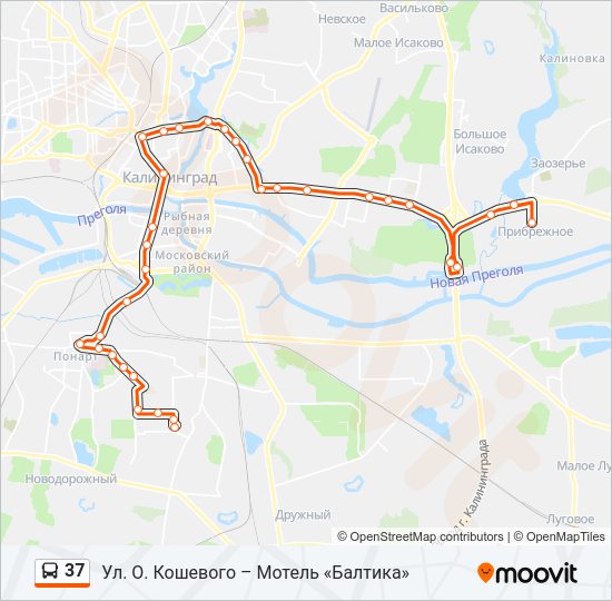 Автобус 37: карта маршрута