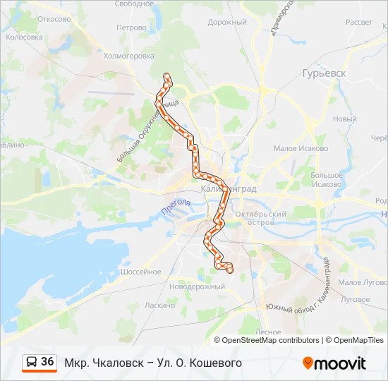 36 Bus Line Map