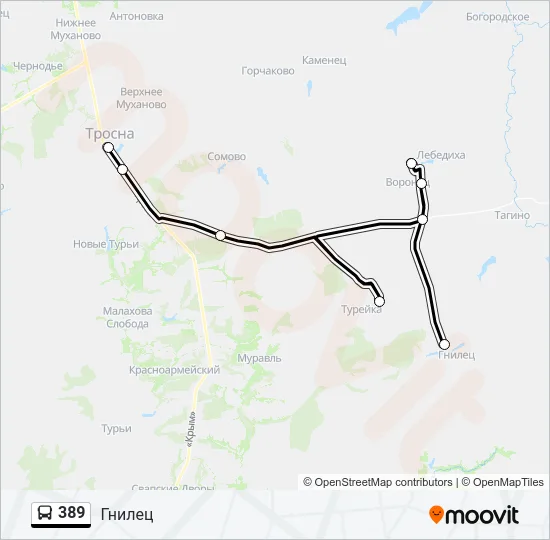 389 Bus Line Map