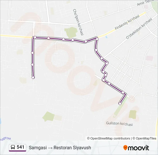 541 Bus Line Map
