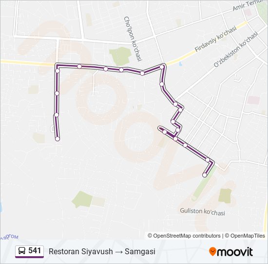 541 bus Line Map