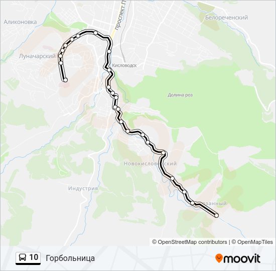10 Bus Line Map