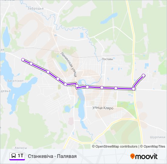 1Т Bus Line Map
