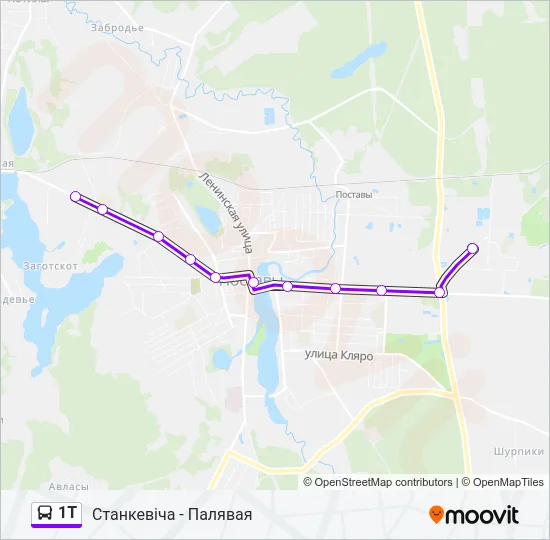 1Т Bus Line Map