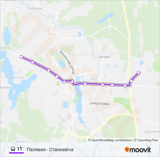 Автобус 1Т: карта маршрута