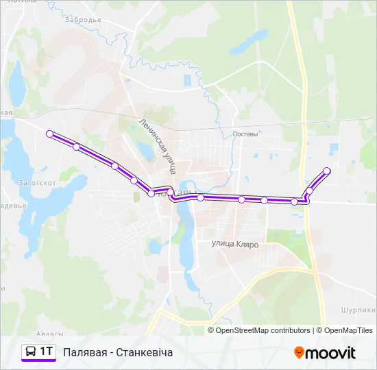 1Т Bus Line Map