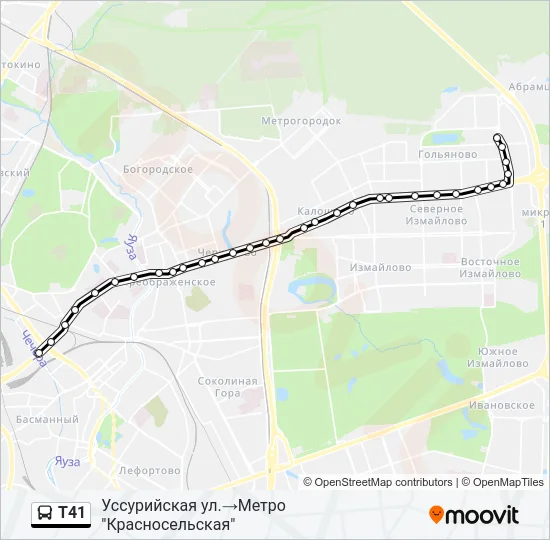 Т41 Bus Line Map