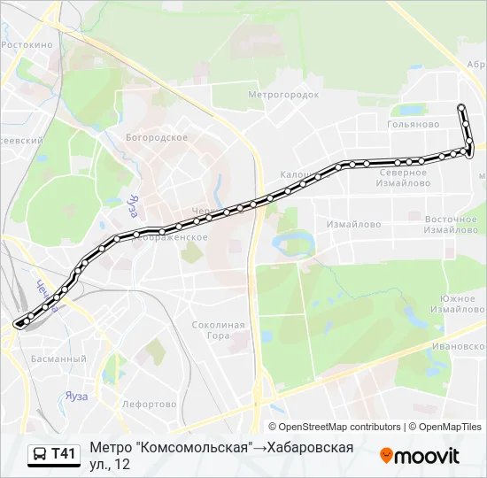 Т41 Bus Line Map