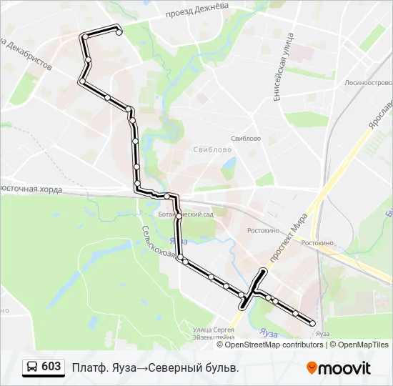 603 Bus Line Map